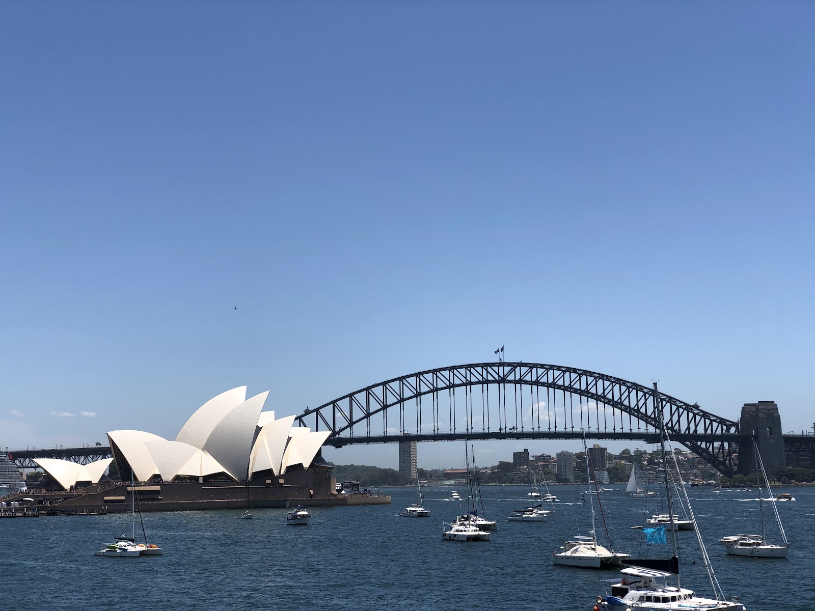 맥쿼리 부인의 의자