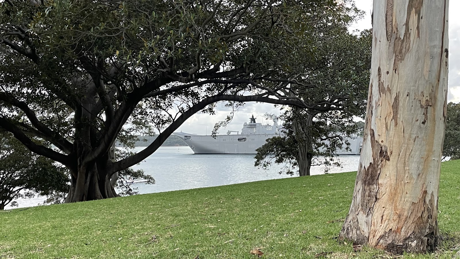 맥쿼리 부인의 의자