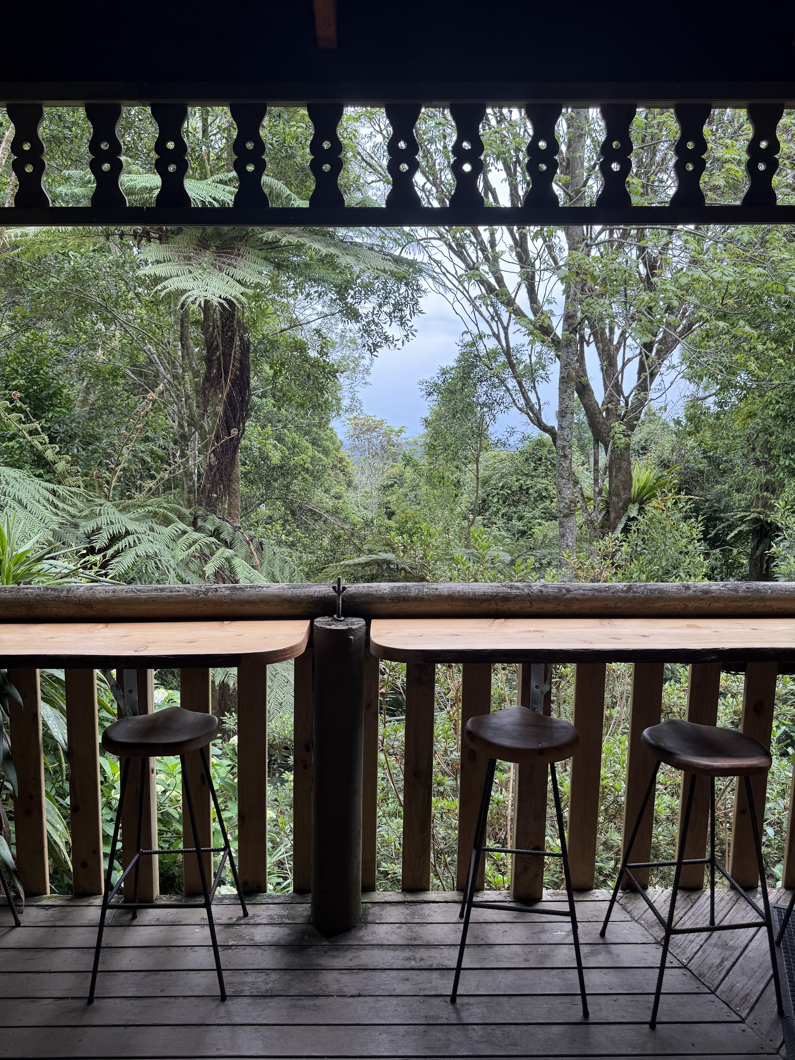 Albert's On Lyrebird