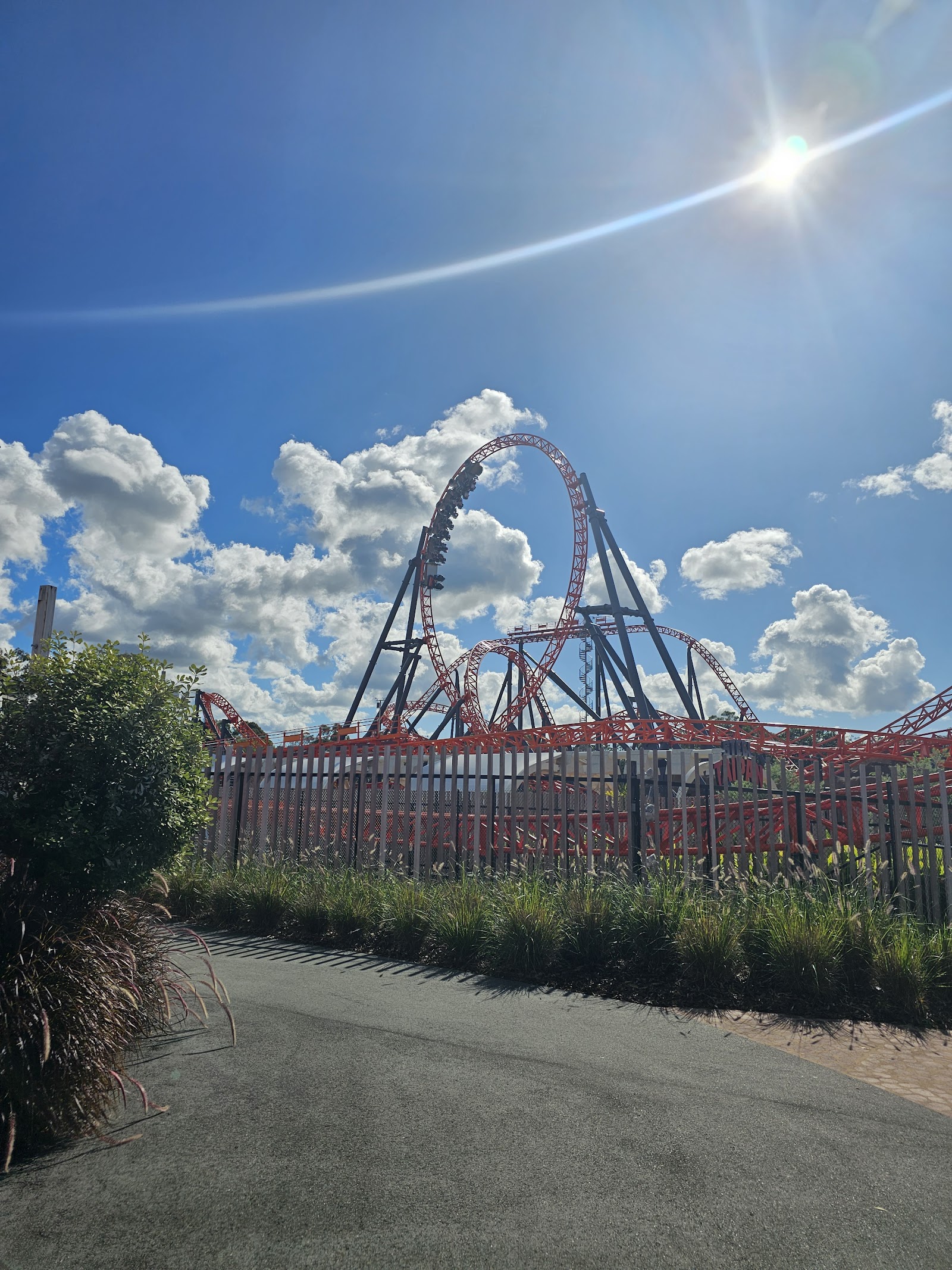 Green Bean Coffee Co.