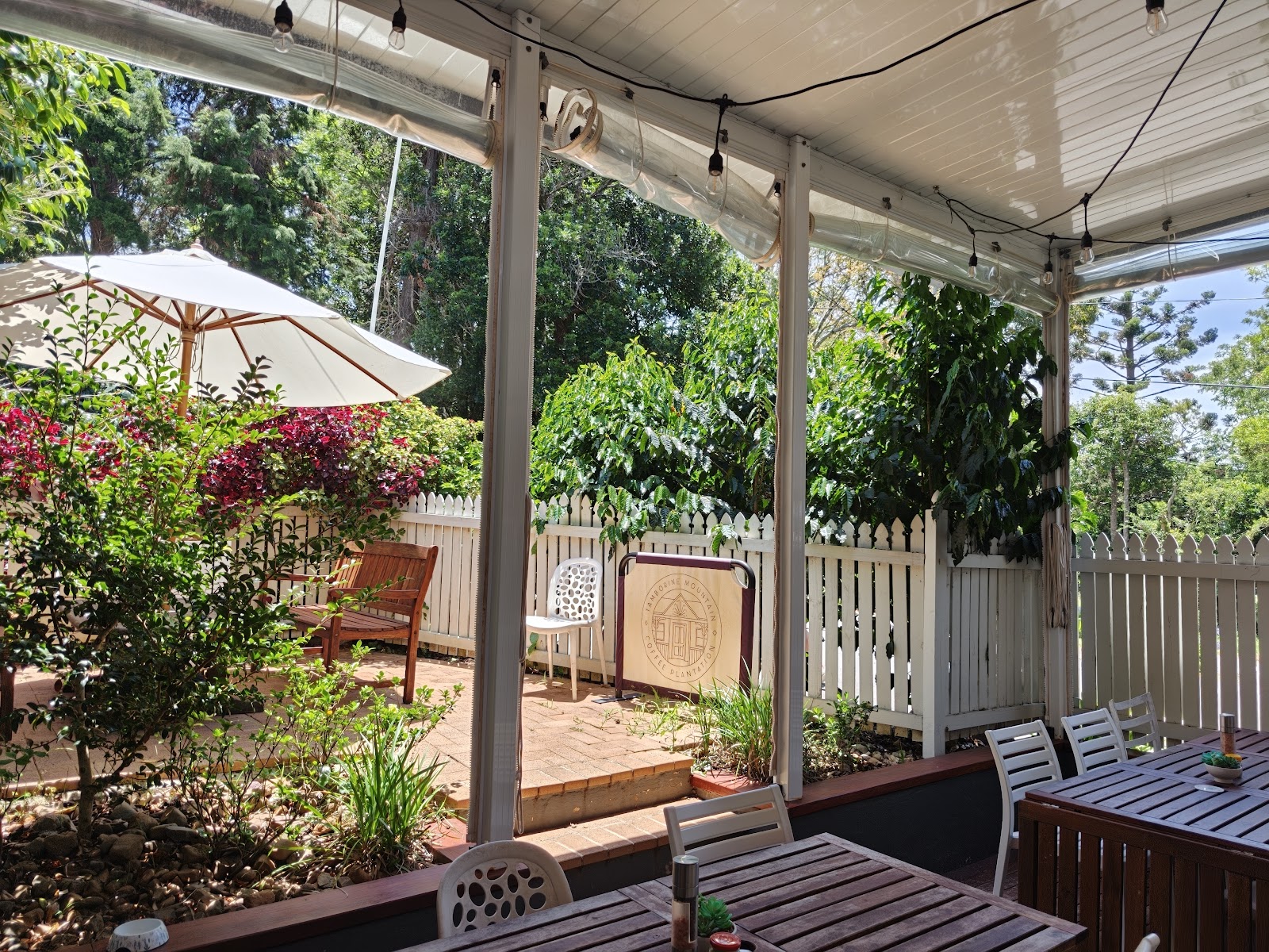 Tamborine Mountain Coffee Plantation