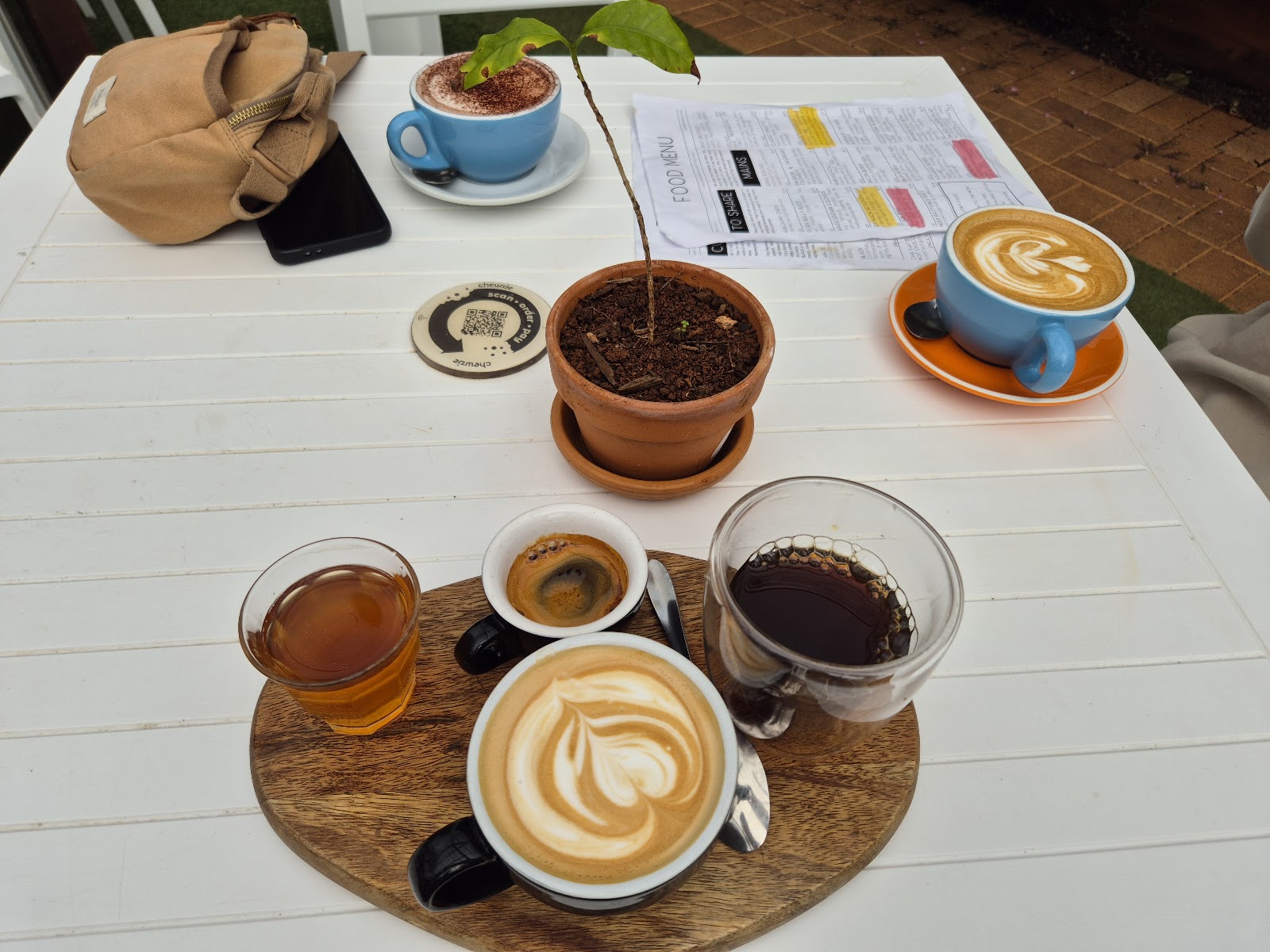 Tamborine Mountain Coffee Plantation