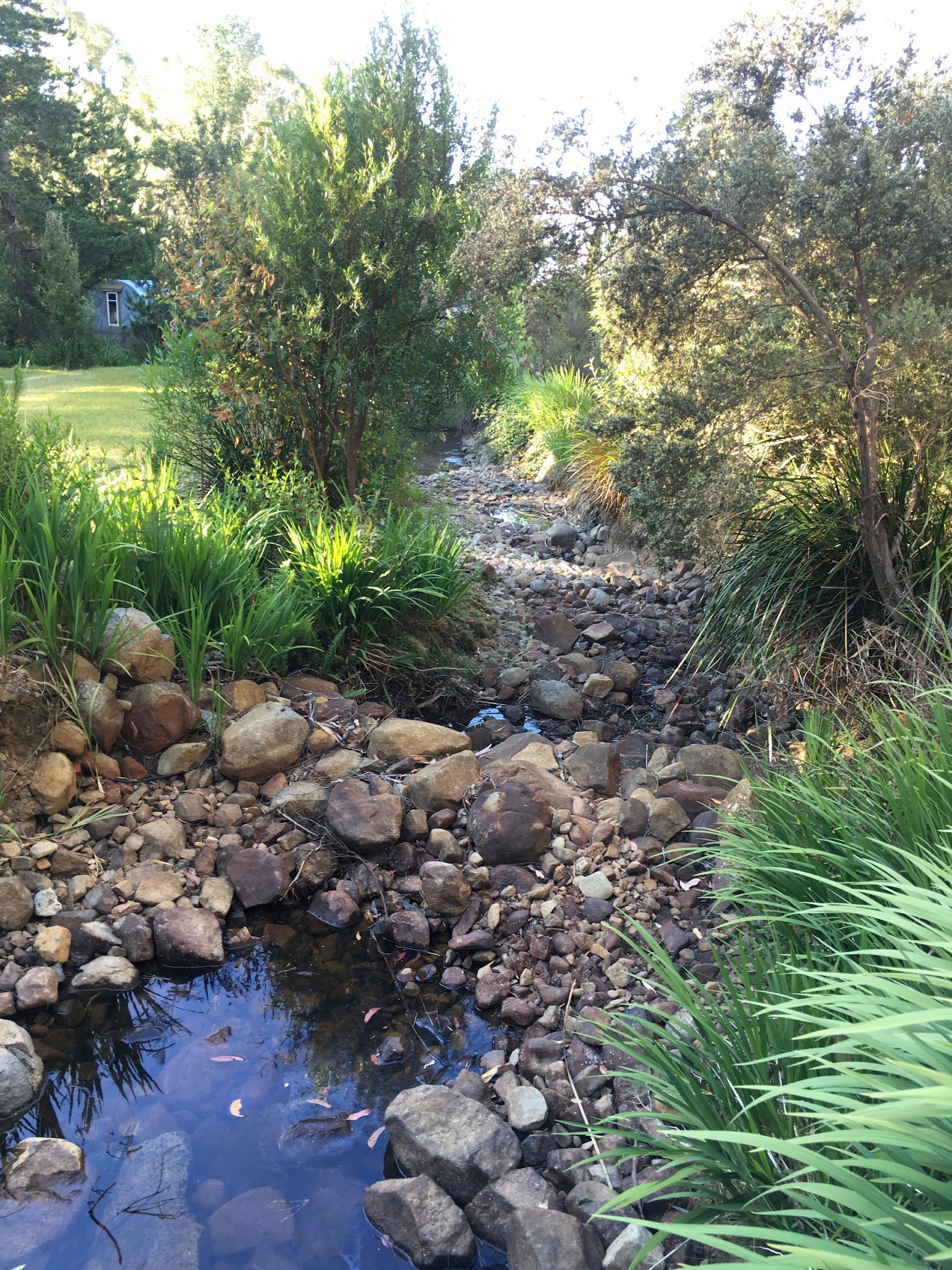 Fish Lips Cafe & Accommodation