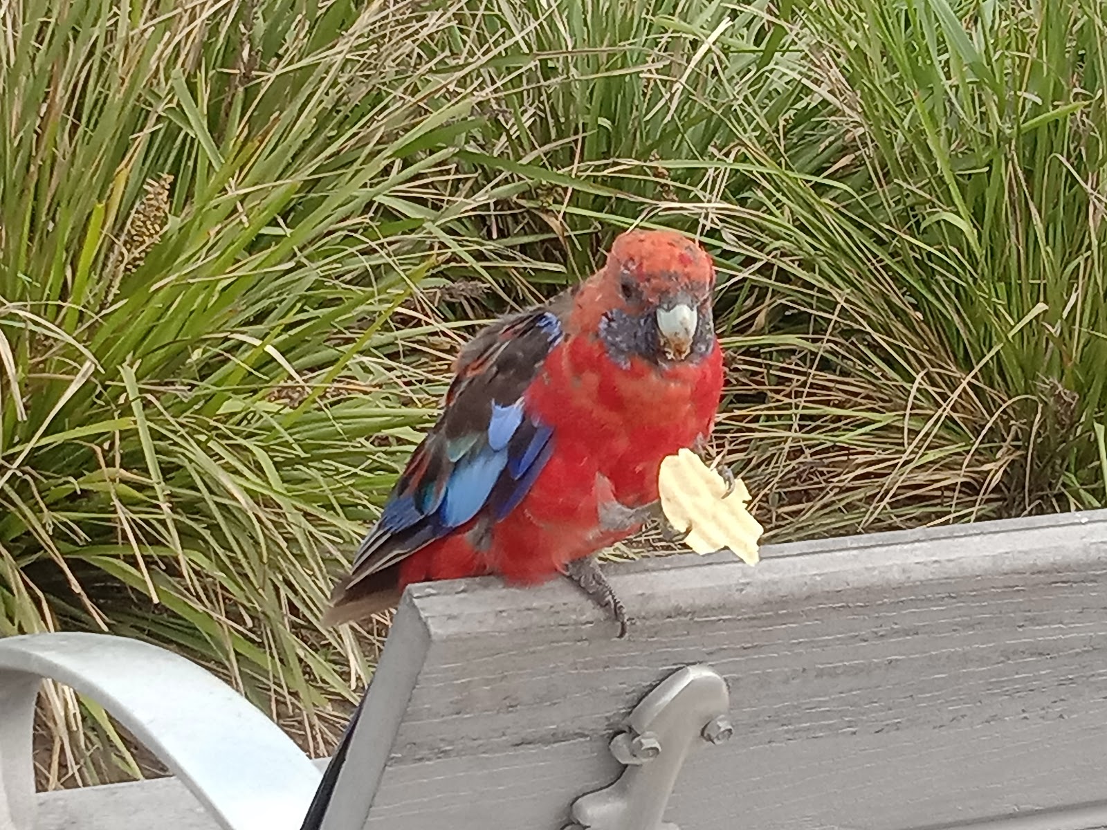 스탠웰 탑스 전망대