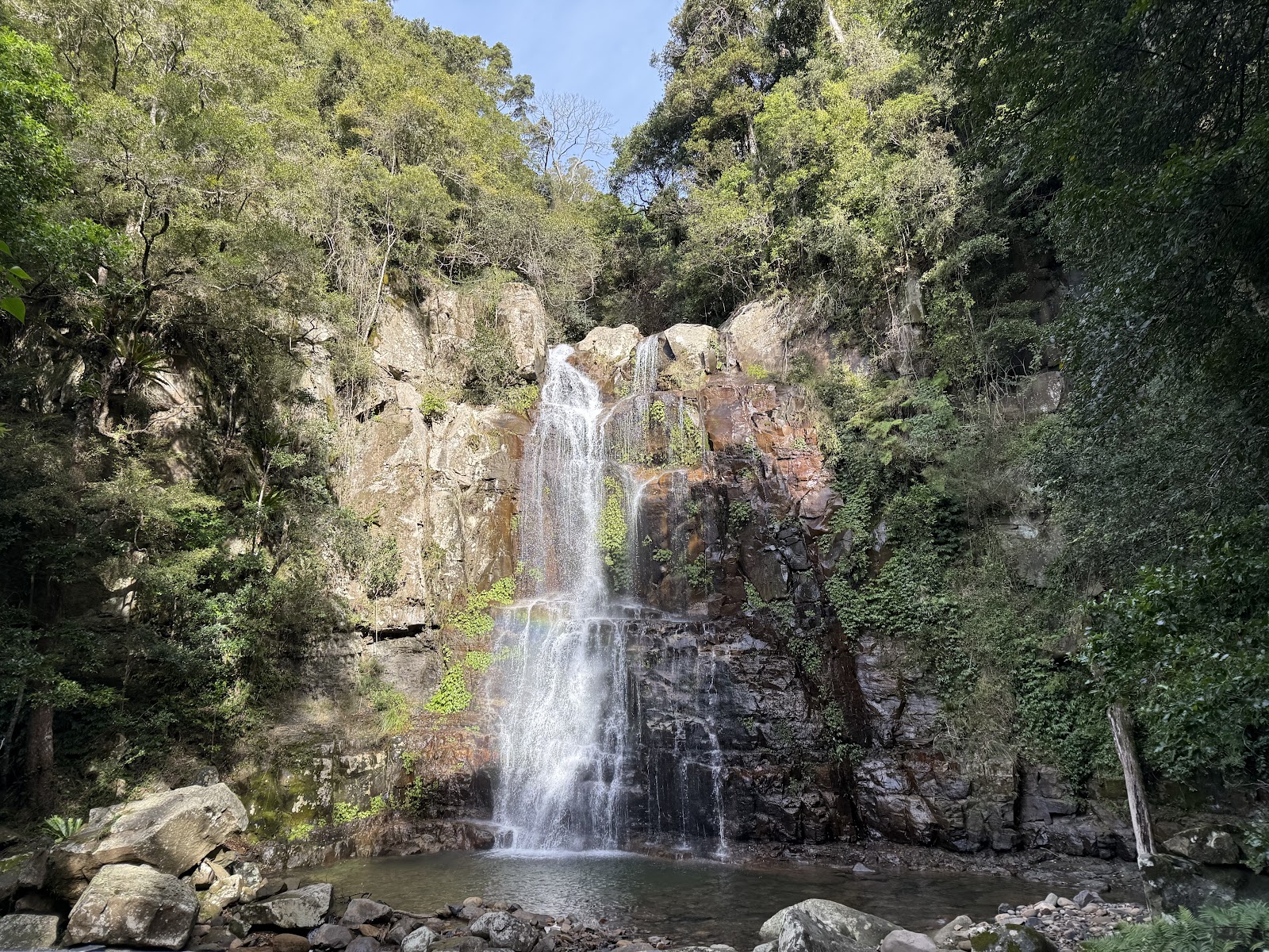 미나무라 열대우림
