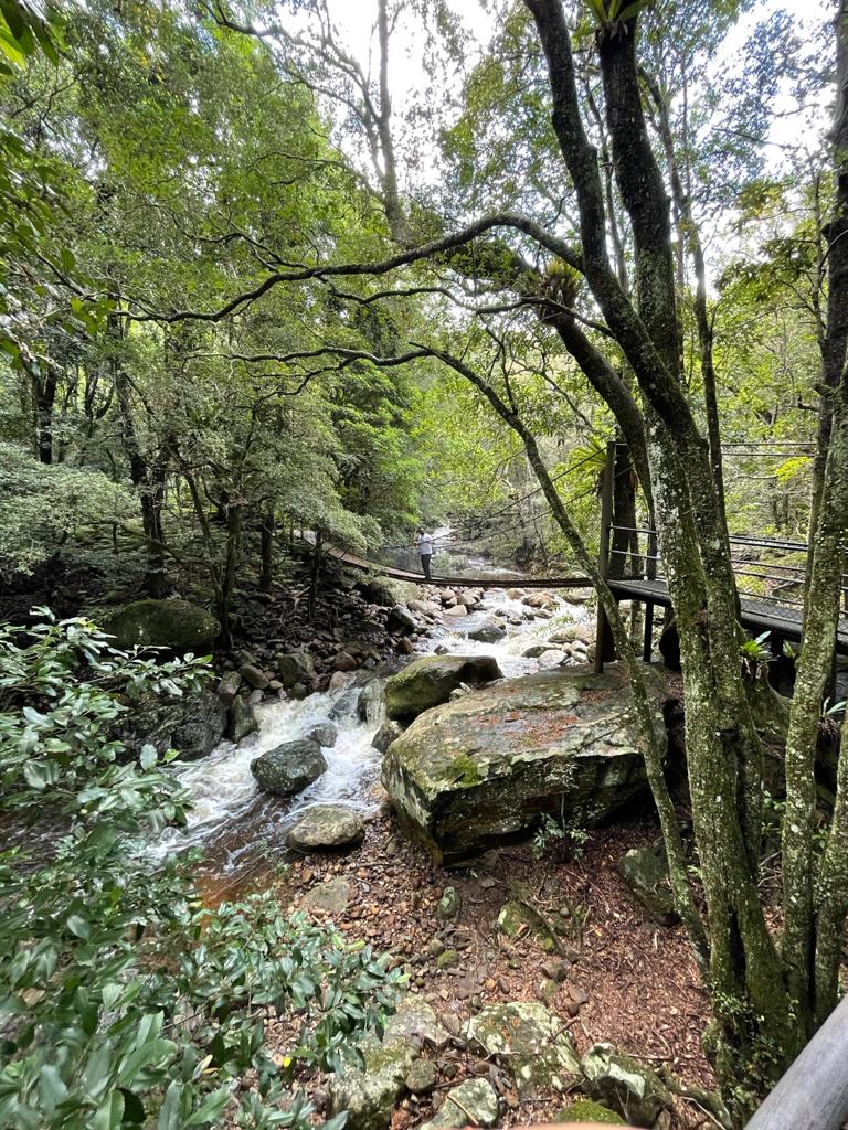 미나무라 열대우림