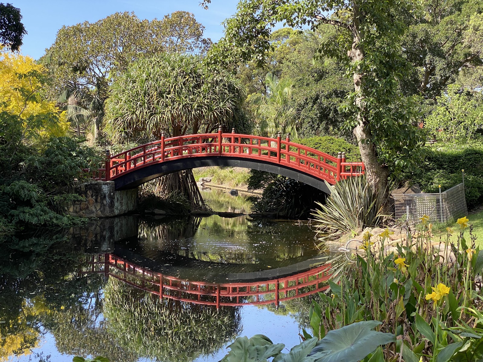 울릉공 보타닉 가든