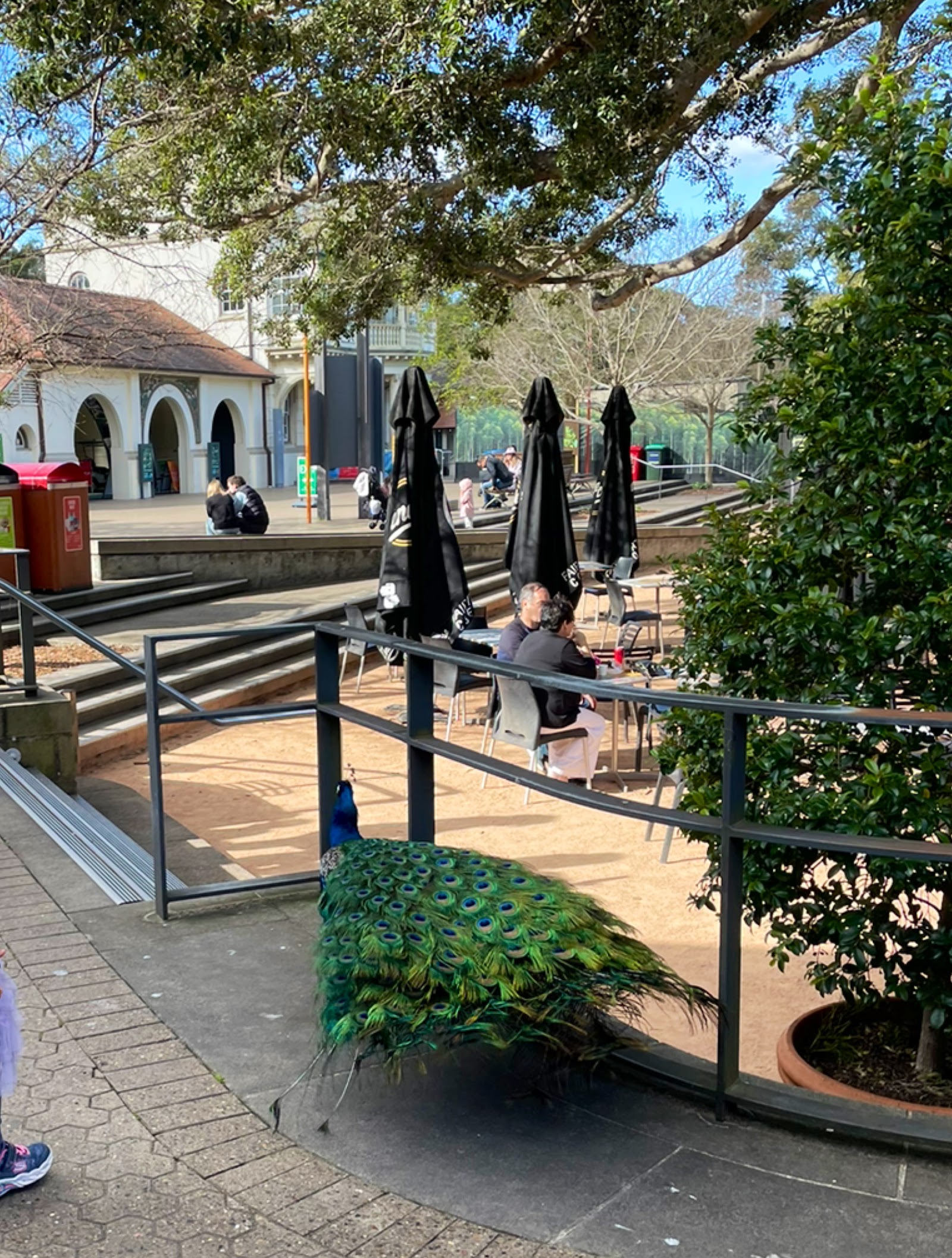 Forage and Graze Cafe