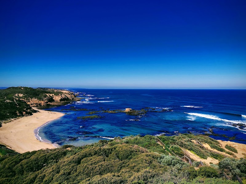 소렌토 백 비치