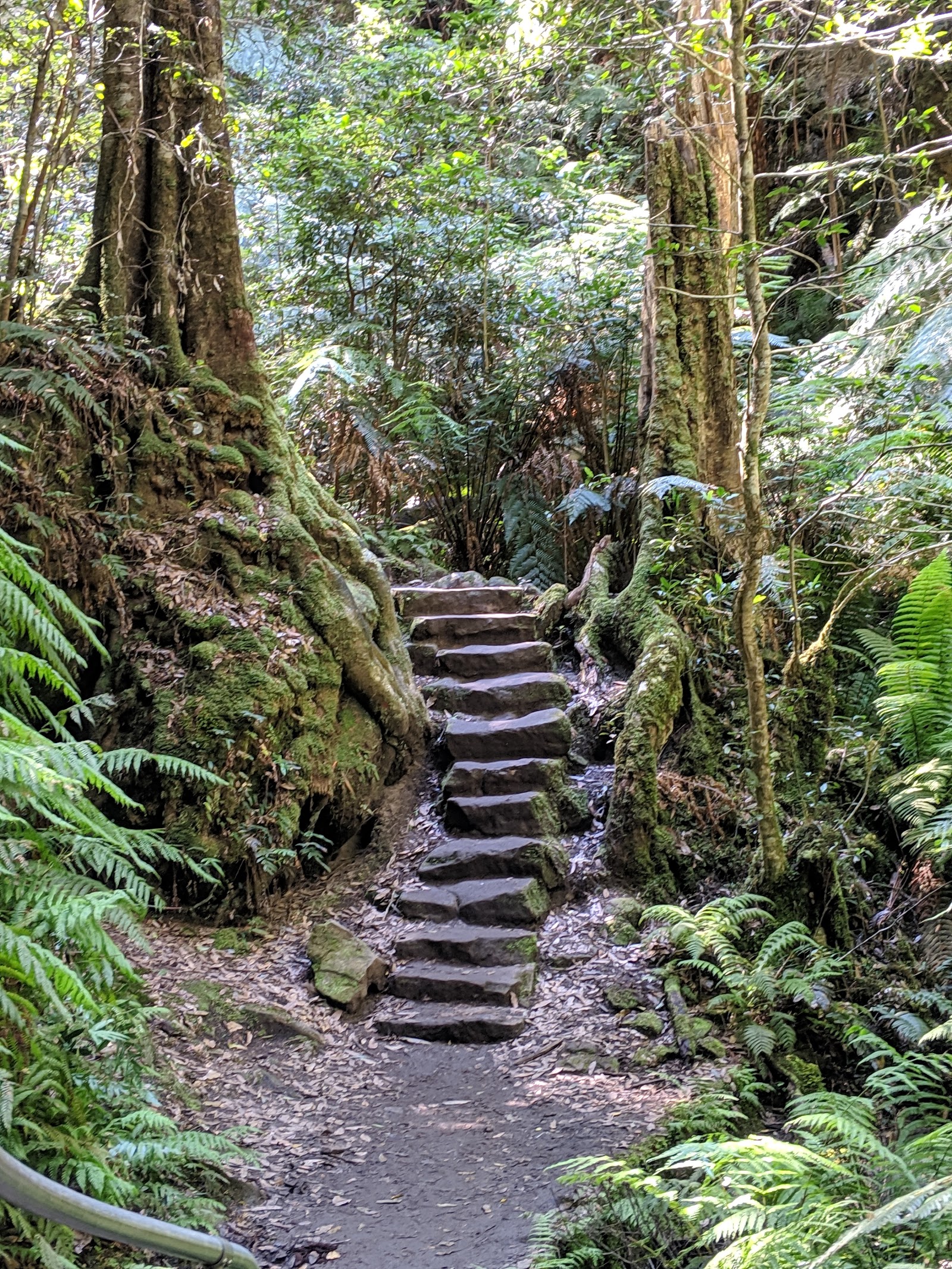 그랜드 캐년 트랙