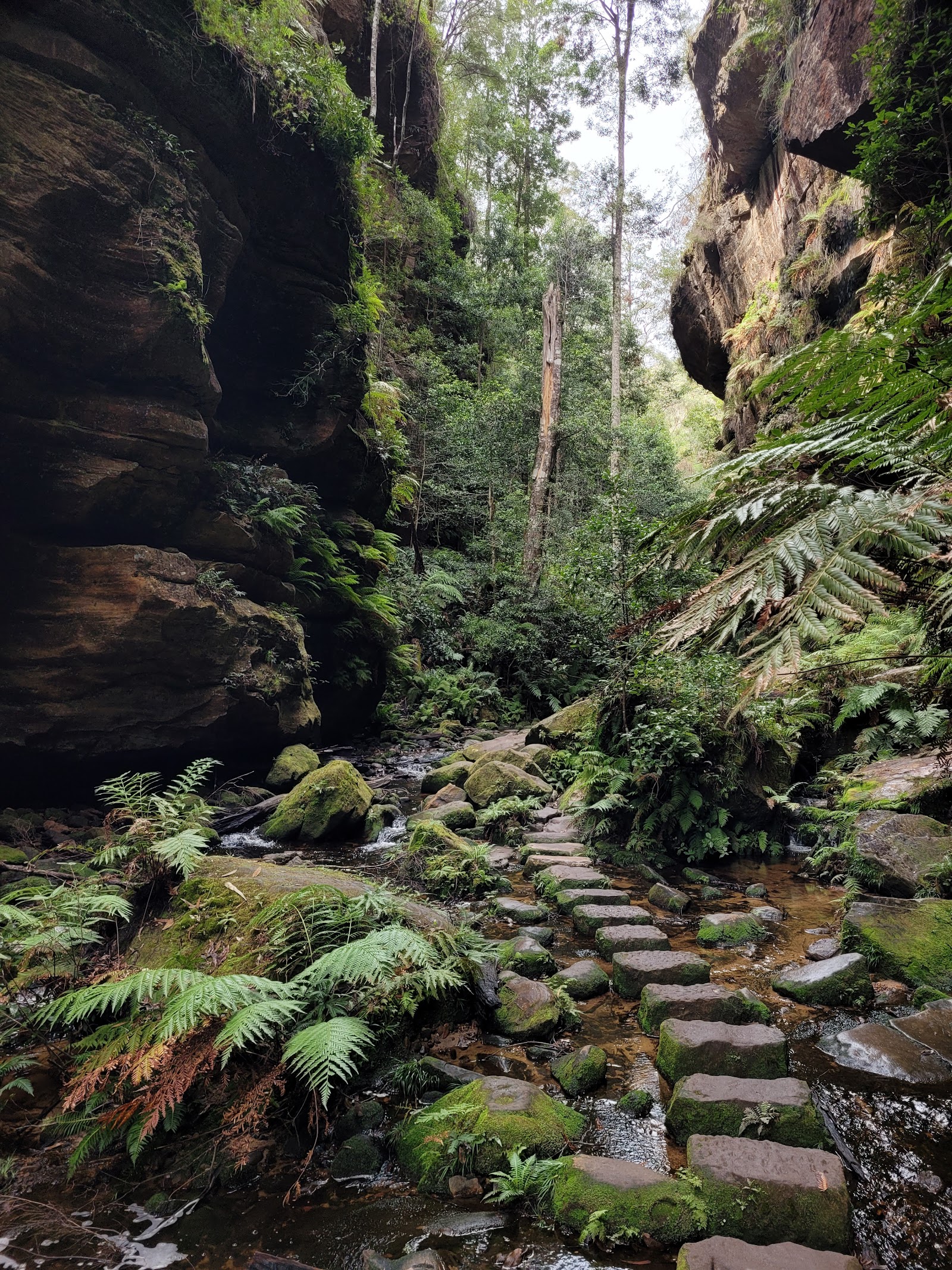 그랜드 캐년 트랙