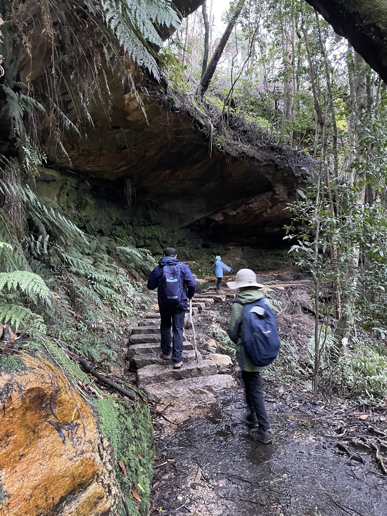 그랜드 캐년 트랙