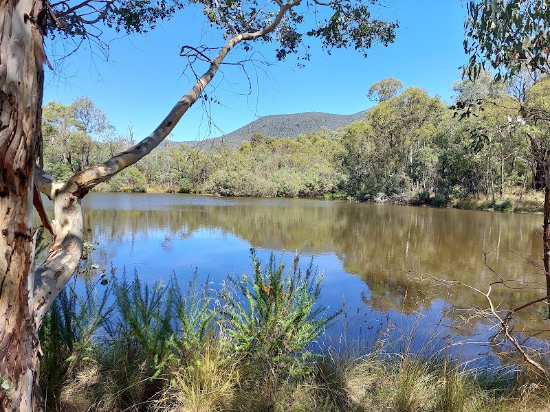 티드빈빌라 자연 보호구역