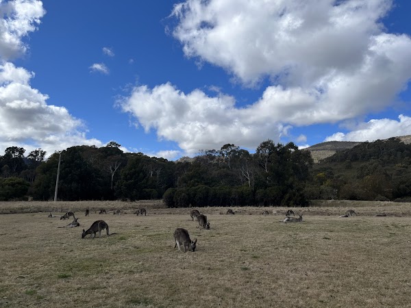 티드빈빌라 자연 보호구역
