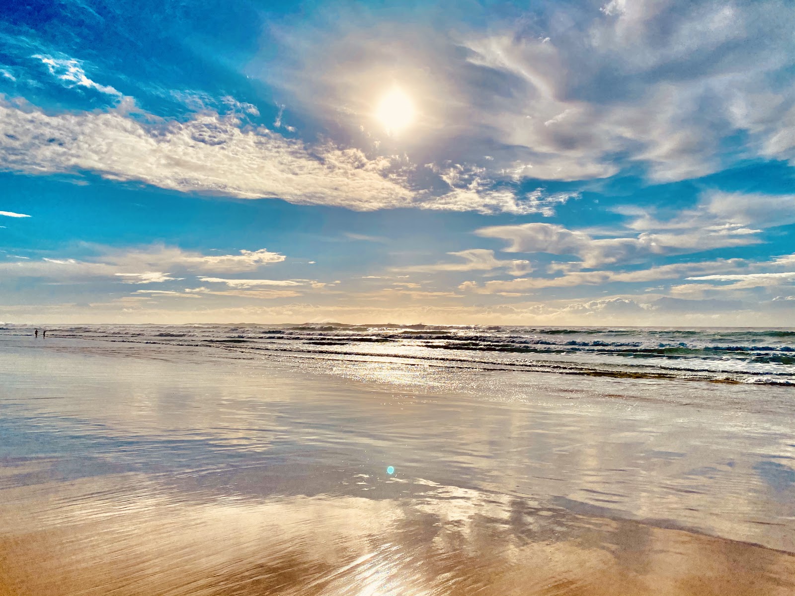 서퍼스 파라다이스