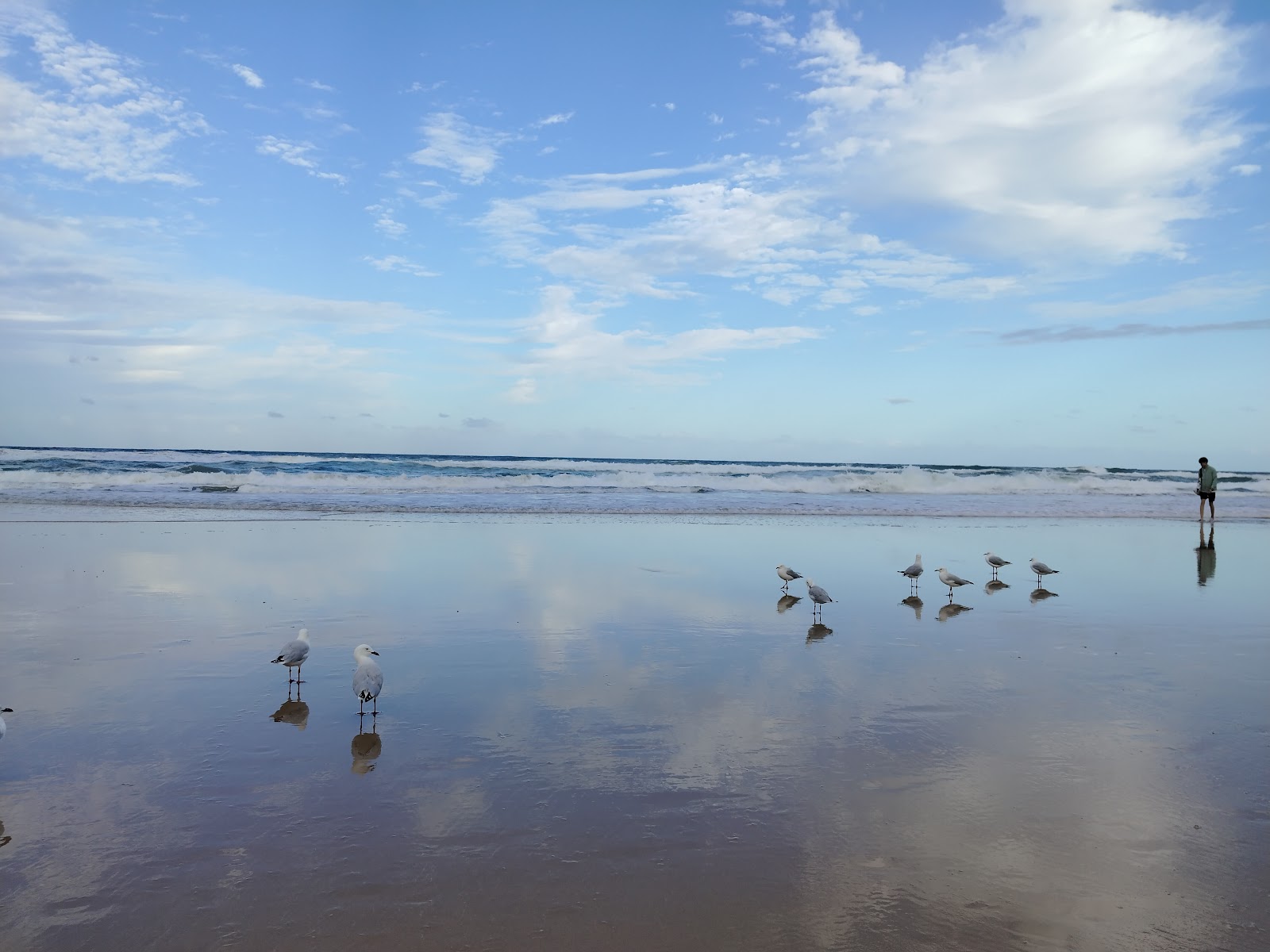 서퍼스 파라다이스