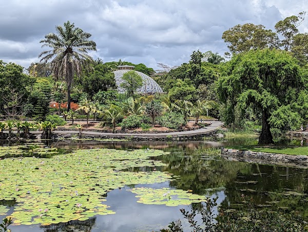 마운트 쿠타 식물원