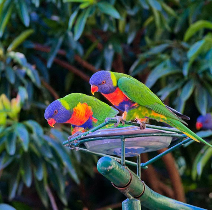 커럼빈 야생동물 보호구역