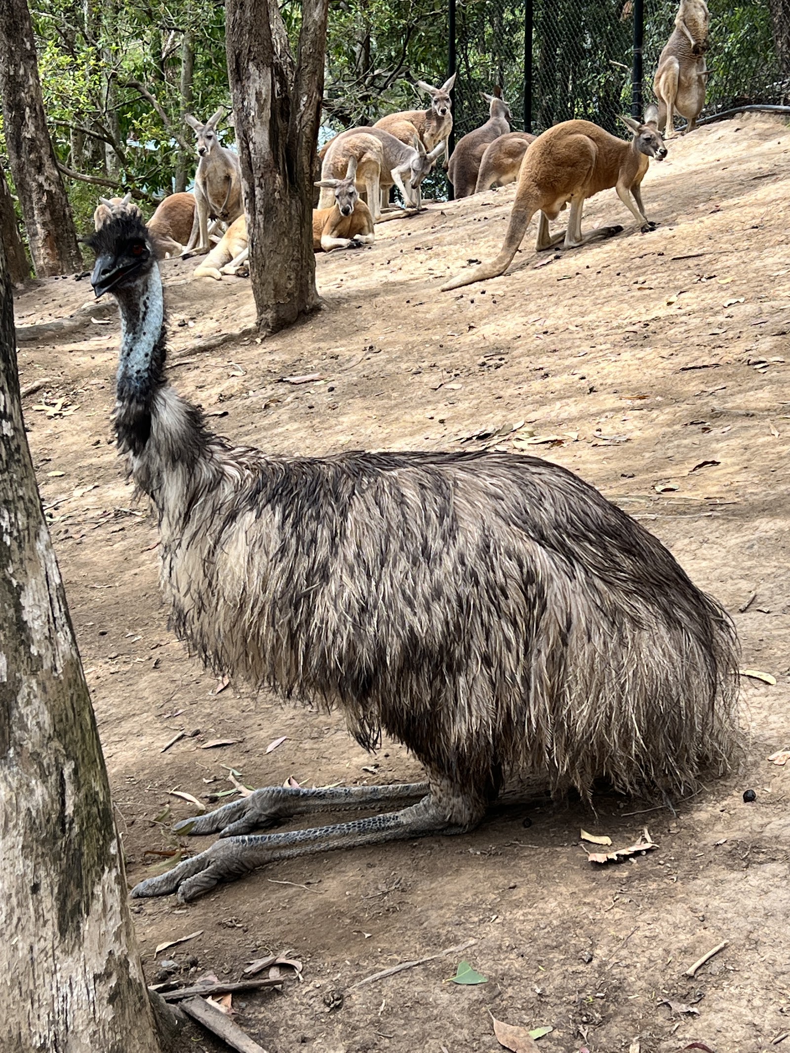 커럼빈 야생동물 보호구역