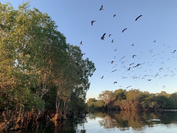 옐로우 워터 빌라봉