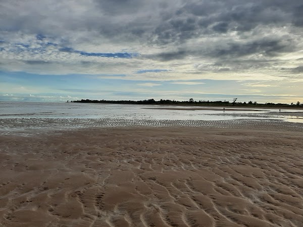 나이트클리프 포어쇼어