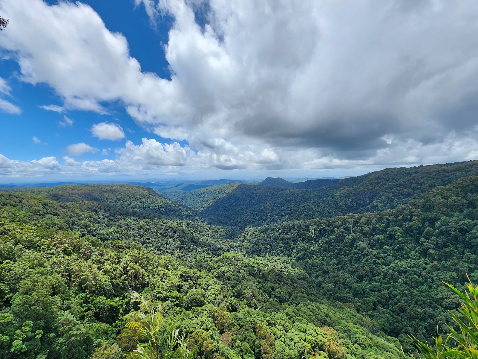 스프링브룩 국립공원