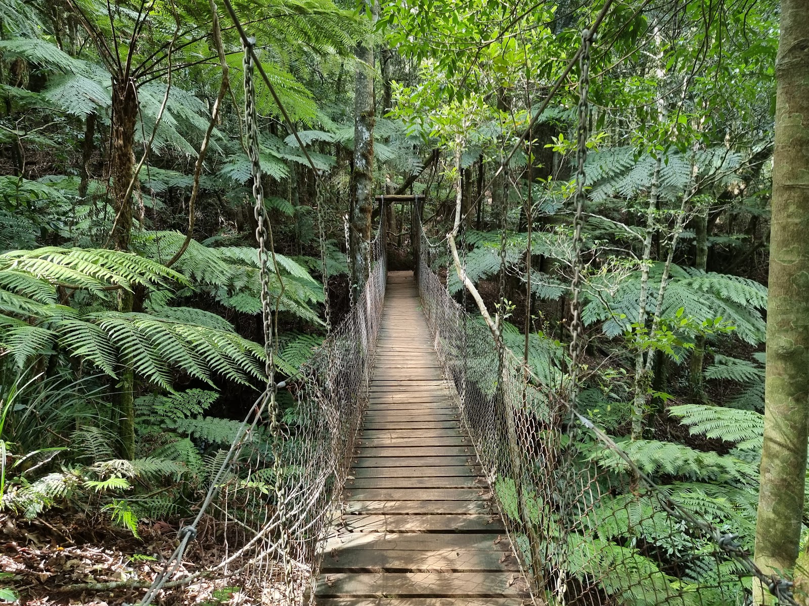 라밍턴 국립공원