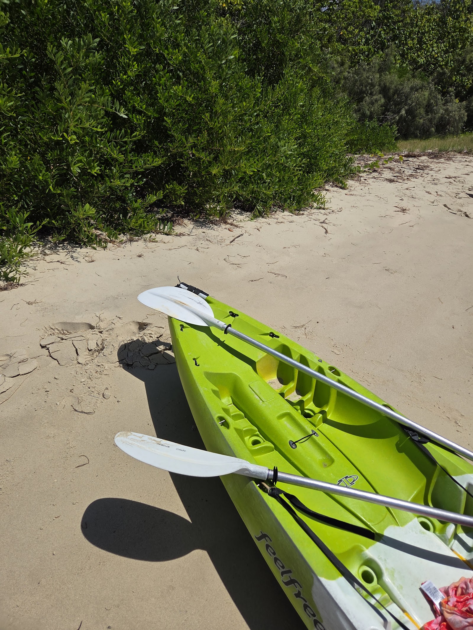 골드코스트 카약