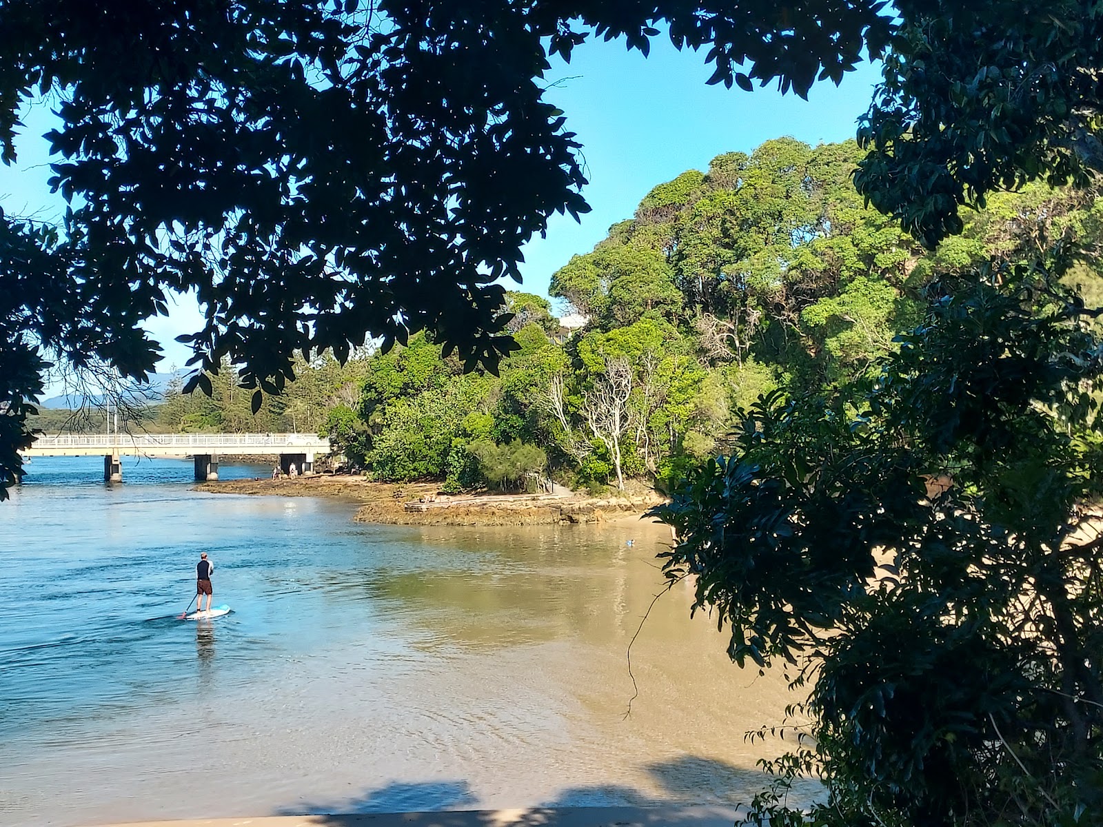 탈레부제라 크릭